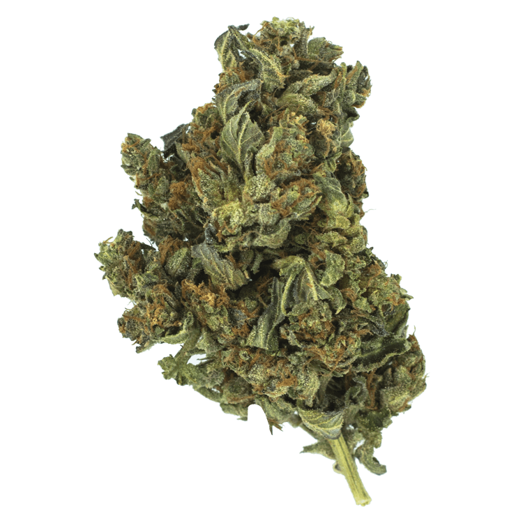 Death Star OG | BC Weed Edible Canada Death Star OG | BC Weed Edible Canada