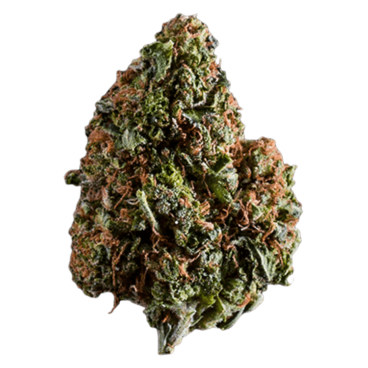 Lindsay OG – 1 ounce | BC Weed Edible Canada