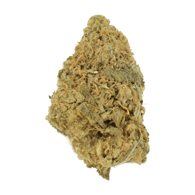 Zombie OG | BC Weed Edible Canada