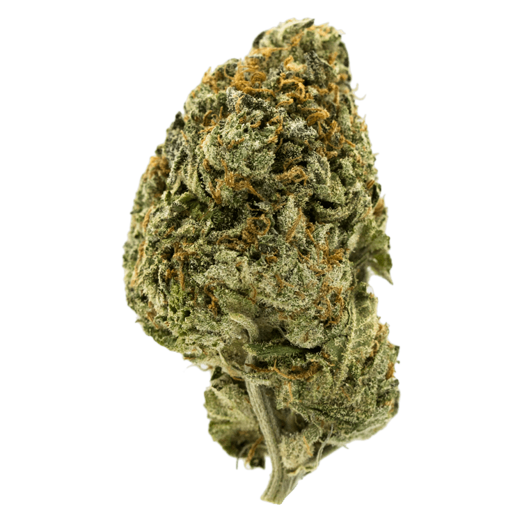 Grape LA | BC Weed Edible Canada