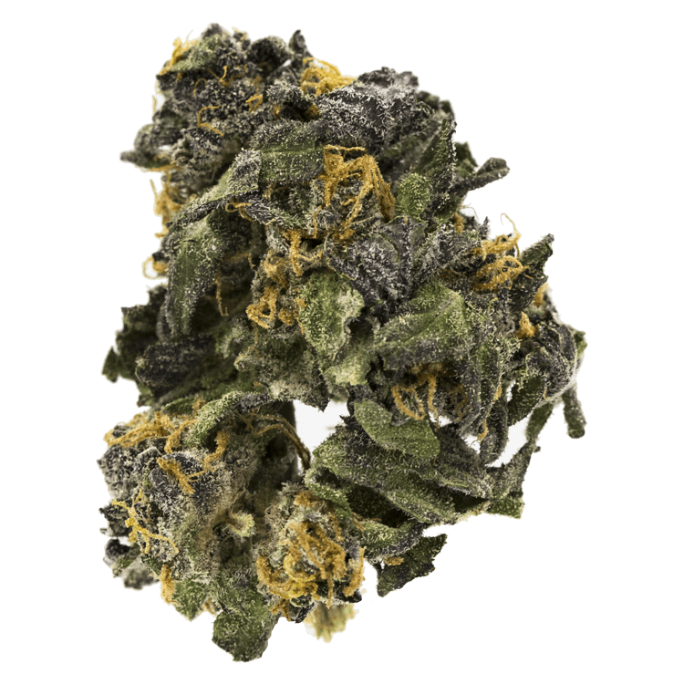 Blue Skunk – 1 ounce | BC Weed Edible Canada Blue Skunk – 1 ounce | BC Weed Edible Canada