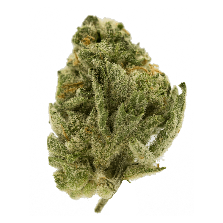 Orangeaid | BC Weed Edible Canada