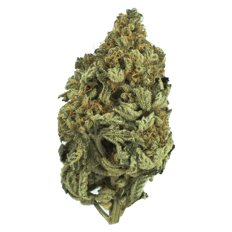 Bakerstreet | BC Weed Edible Canada Bakerstreet | BC Weed Edible Canada