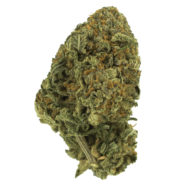 Black Nuken | BC Weed Edible Canada Black Nuken | BC Weed Edible Canada