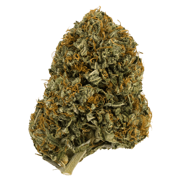 Wifi OG – 1 ounce | BC Weed Edible Canada Wifi OG – 1 ounce | BC Weed Edible Canada