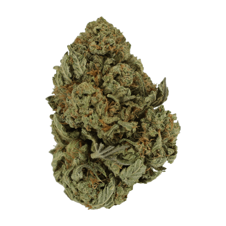 Master Kush Ultra | BC Weed Edible Canada