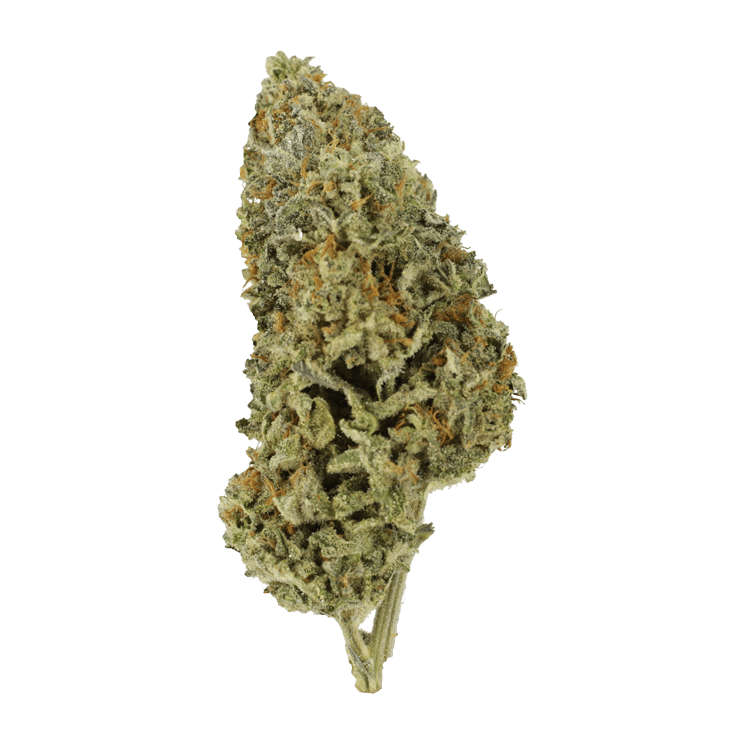 Super Silver Sour Diesel | BC Weed Edible Canada