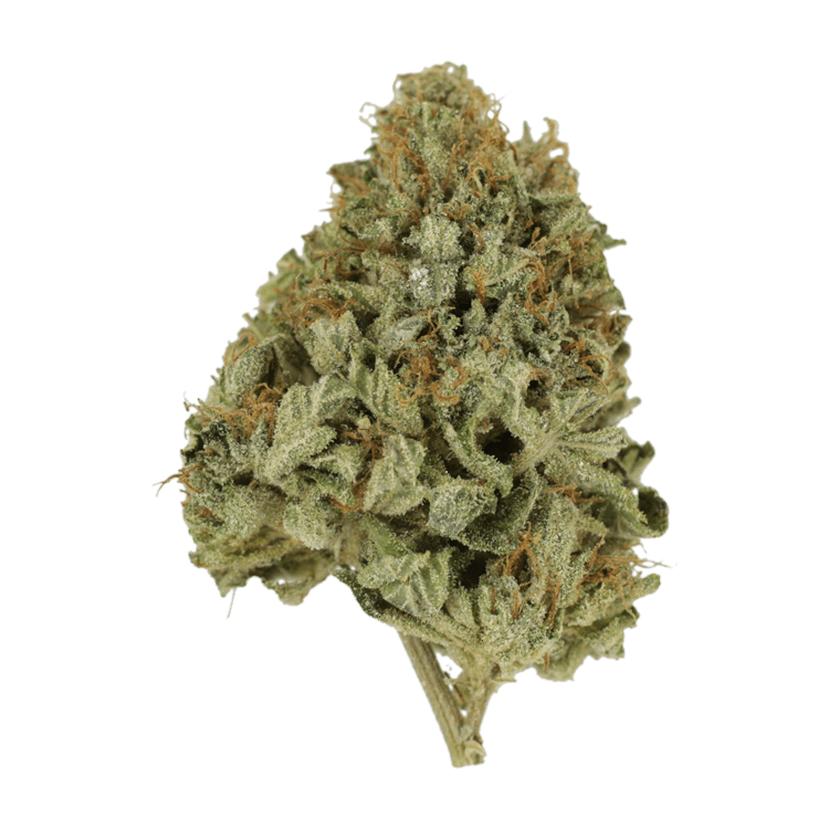 Pineapple Kush | BC Weed Edible Canada