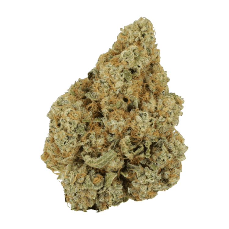 Black Cherry Punch | BC Weed Edible Canada