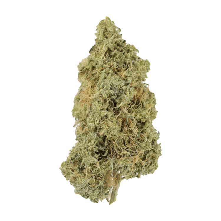 Tropicana Cookies | BC Weed Edible Canada Tropicana Cookies | BC Weed Edible Canada