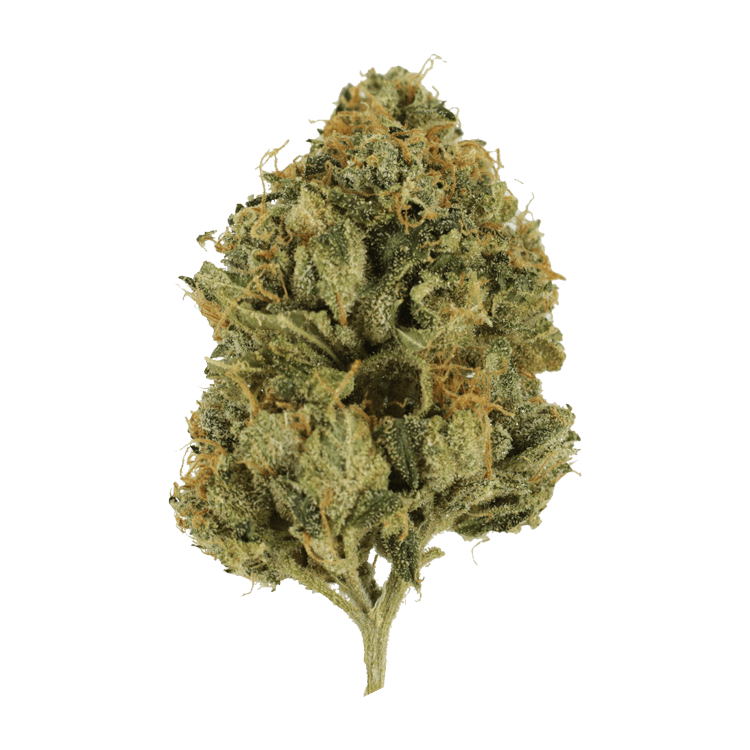 Fire OG | BC Weed Edible Canada