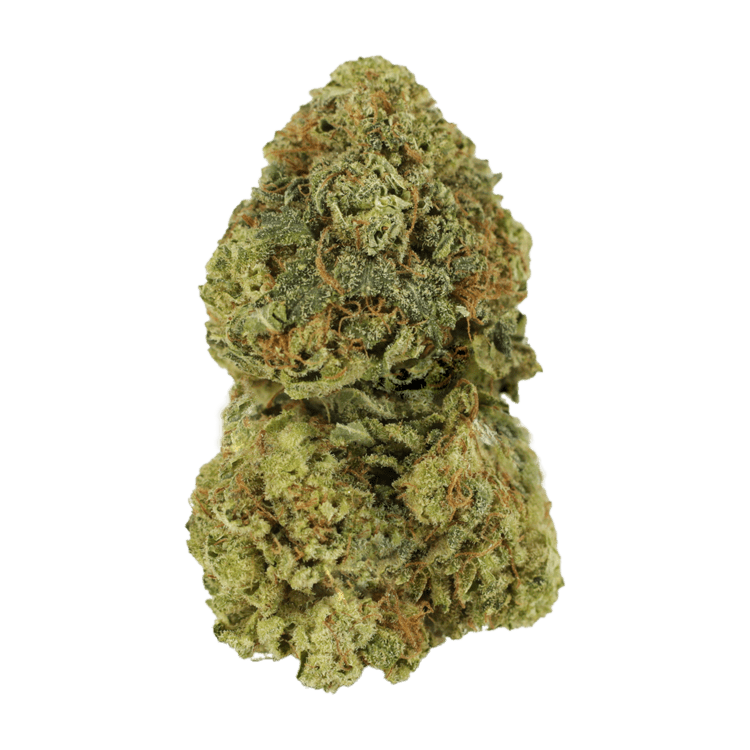 Critical Mass | BC Weed Edible Canada