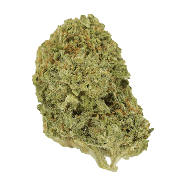 Mango Cream | BC Weed Edible Canada