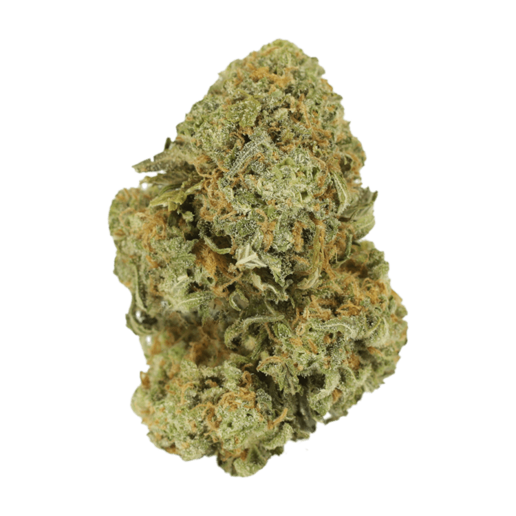 Watermelon Gelato | BC Weed Edible Canada