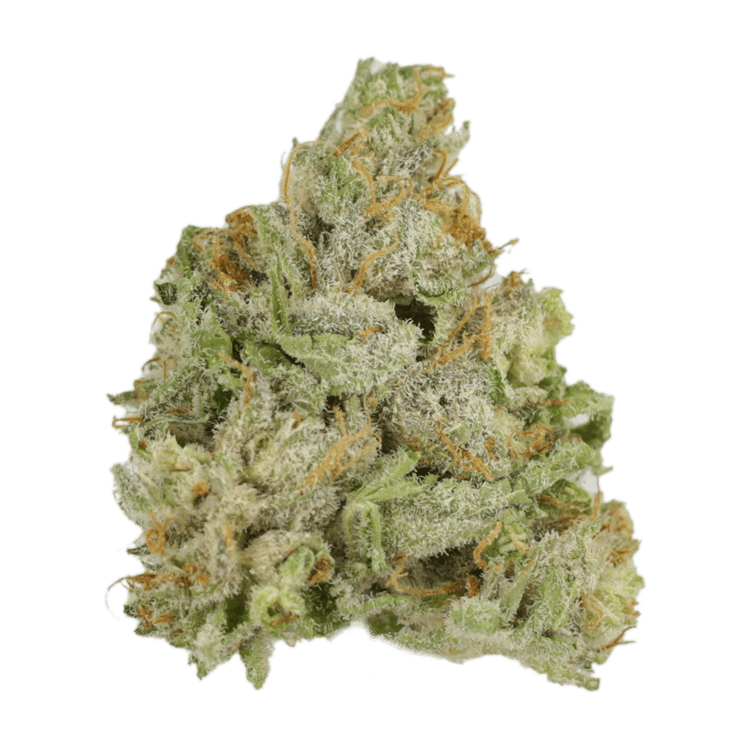 El Jefe | BC Weed Edible Canada