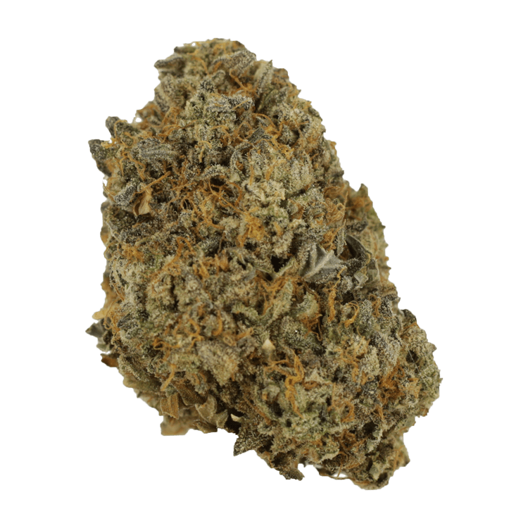 Sherb Quake | BC Weed Edible Canada