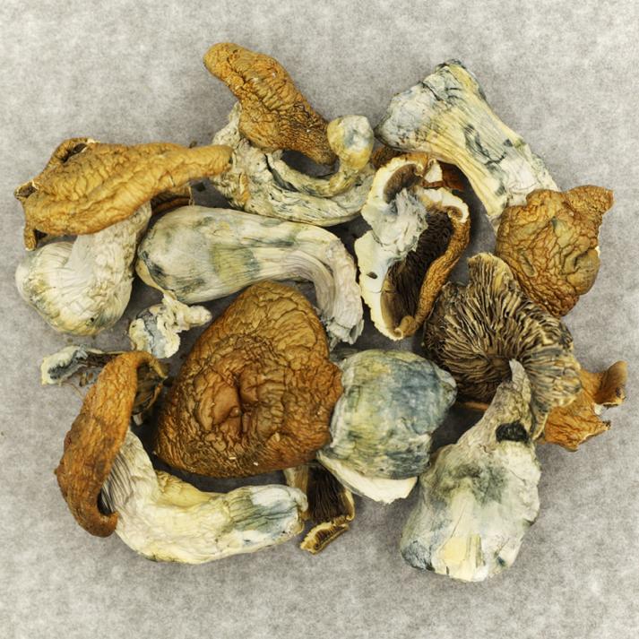 King Kong | BC Weed Edible Canada King Kong | BC Weed Edible Canada