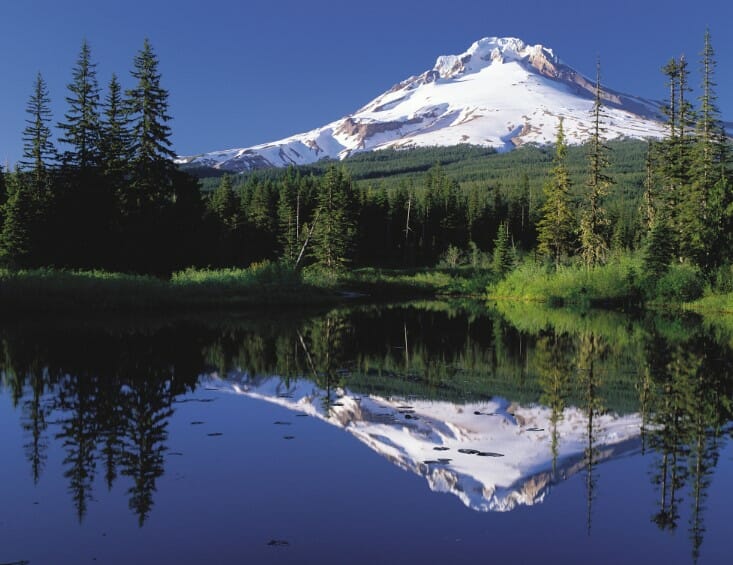 Buy edibles Online Northwest Territories | BC Weed Edible Canada | BC Weed Edible Canada