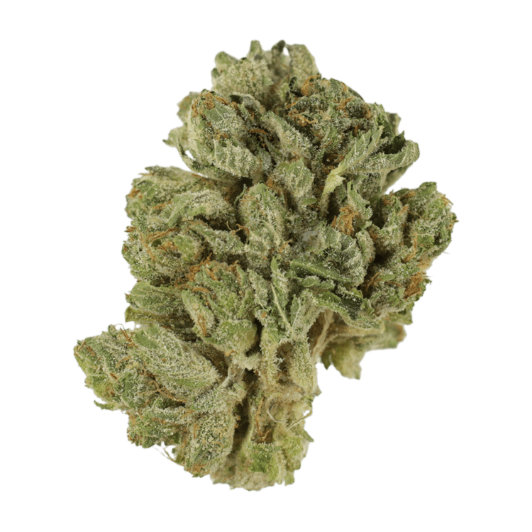 Northern Wonder | BC Weed Edible Canada