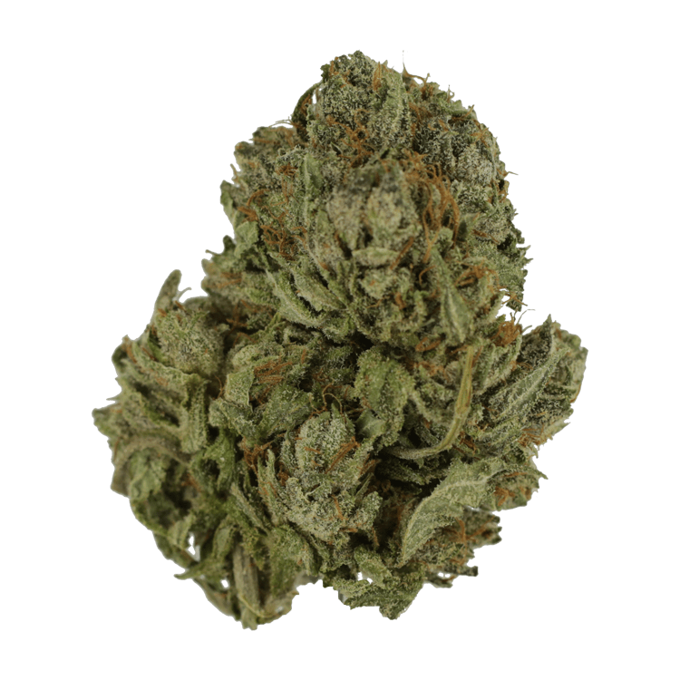 Top Gun – $35 / 1 oz | BC Weed Edible Canada Top Gun – $35 / 1 oz | BC Weed Edible Canada