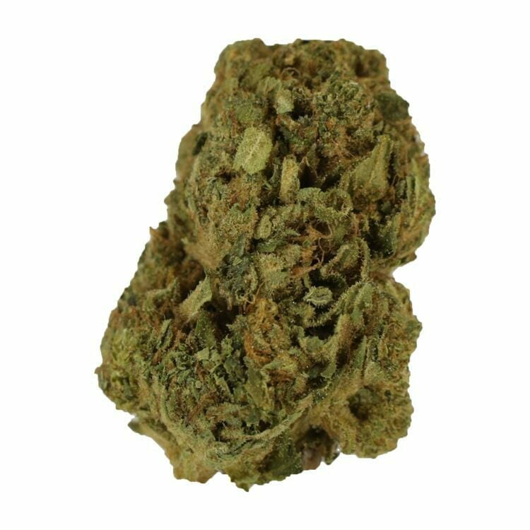 Punch Breath | BC Weed Edible Canada Punch Breath | BC Weed Edible Canada