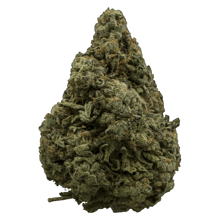 White Rhino | BC Weed Edible Canada White Rhino | BC Weed Edible Canada