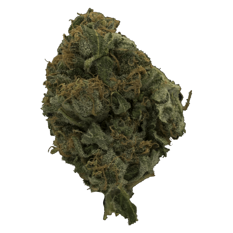 Glitter | BC Weed Edible Canada Glitter | BC Weed Edible Canada